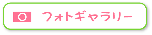 フォトギャラリー